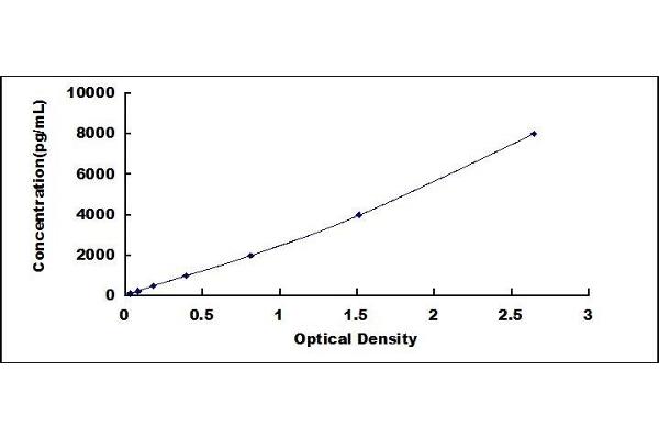 SERPINB10 ELISA Kit