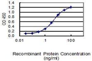 ELISA image for anti-serpin Peptidase Inhibitor, Clade B (Ovalbumin), Member 5 (SERPINB5) (AA 1-231) antibody (ABIN2565883)