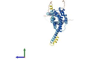 Protein Structure (PS) image for Oxytocin Receptor (OXTR) (AA 1-388) protein (His tag) (ABIN7556839)