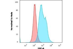 Flow Cytometric Analysis of PFA-fixed MOLT4 cells. (TYMS antibody  (AA 60-174))