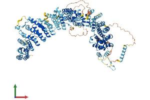Protein Structure (PS) image for TELO2 Interacting Protein 1 (TTI1) (AA 1-1085) protein (His tag) (ABIN7564779)