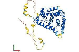 Protein Structure (PS) image for Nuclear Receptor Subfamily 0, Group B, Member 2 (NR0B2) (AA 1-260) protein (His tag) (ABIN7557771)