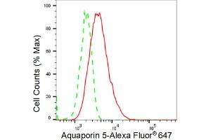 anti-Aquaporin 5 (AQP5) antibody