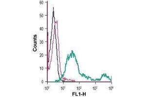 Cell surface detection of Semaphorin 4D in mouse TK-1 T-cell lymphoma cells: (black line) Cells. (SEMA4D/CD100 antibody  (Extracellular) (FITC))