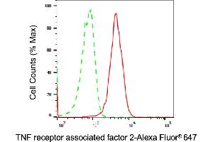 Flow cytometric analysis of TNF receptor associated factor 2 expression in HAP-1 cells using TNF receptor associated factor 2 antibody (ABIN7800563), 1:2,000). (Recombinant TRAF2 antibody)