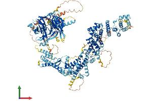 AlphaFold protein structure predicition of Human Recombinant RAB3GAP2 Protein, UniprotID Q9H2M9 (RAB3GAP2 Protein (AA 1-1393) (His tag))