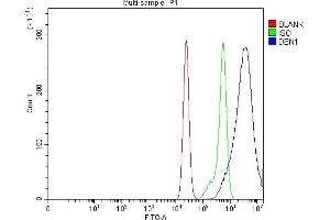 Flow Cytometry analysis of CACO-2 cells using anti-Drebrin/DBN1 antibody (ABIN7602638). (DBN1 antibody  (AA 9-649))
