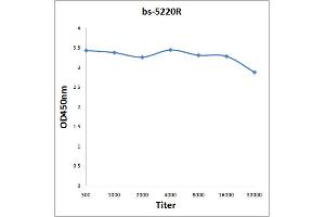 Antigen: 0. (Bcl-2 antibody  (pThr129))