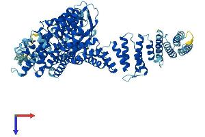Tetratricopeptide Repeat Domain 27 (TTC27) (AA 1-843) protein (His tag)