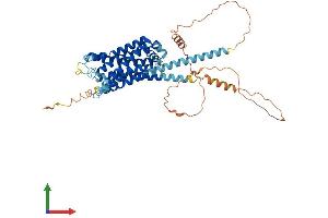 AlphaFold protein structure predicition of Mouse Recombinant Hrh1 Protein, UniprotID P70174 (HRH1 Protein (AA 1-488) (His tag))