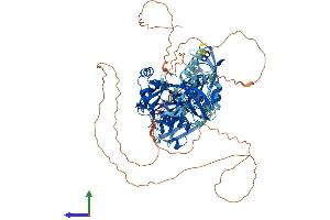 AlphaFold protein structure predicition of Mouse Recombinant Dlg2 Protein, UniprotID Q91XM9 (DLG2 Protein (AA 1-852) (His tag))