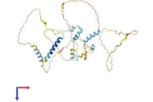 FAM110B Protein (AA 1-366) (His tag)