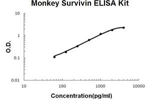 Monkey Primate Survivin PicoKine ELISA Kit standard curve (Survivin ELISA Kit)