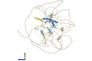 Protein Structure (PS) image for Bobby Sox Homolog (BBX) (AA 1-907) protein (His tag) (ABIN7559785)