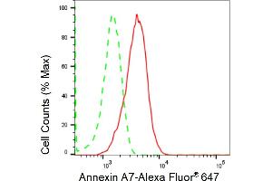 Flow cytometric analysis of Annexin A7 expression in HepG2 cells using Annexin A7 antibody (ABIN7797625), 1:2,000). (Recombinant Annexin VII antibody)