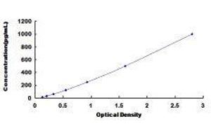 Troponin T (Tn T) ELISA Kit