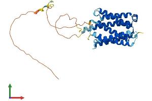 Protein Structure (PS) image for Fas Apoptotic Inhibitory Molecule 2 (FAIM2) (AA 1-317) protein (His tag) (ABIN7559426)