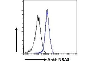 Flow Cytometry (FACS) image for anti-GTPase NRas (NRAS) (Internal Region) antibody (ABIN302138)