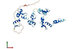 AlphaFold protein structure predicition of Human Recombinant ZNF660 Protein, UniprotID Q6AZW8