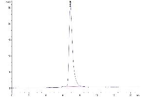 The purity of Human CD27 is greater than 95 % as determined by SEC-HPLC. (CD27 Protein (AA 21-192) (His tag))