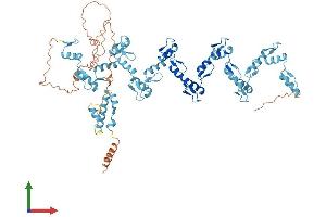 Protein Structure (PS) image for Zinc Finger Protein 470 (ZNF470) (AA 1-717) protein (His tag) (ABIN7545467)