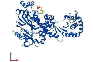AlphaFold protein structure predicition of Human Recombinant NAPRT Protein, UniprotID Q6XQN6 (NAPRT1 Protein (AA 1-538) (His tag))
