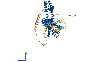 AlphaFold protein structure predicition of Human Recombinant KCNA1 Protein, UniprotID Q09470