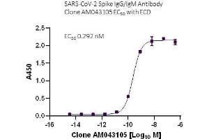 SARS-CoV-2 Spike IgG/IgM Antibody (AM043105) tested by ELISA using SARS Spike protein ECD. (Recombinant SARS-CoV-2 Spike IgG/IgM antibody)