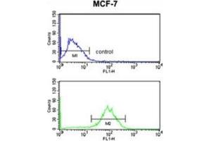 Flow cytometry analysis of MCF-7 cells using Destrin Antibody (bottom histogram) compared to a negative control cell (top histogram). (Destrin antibody  (Middle Region))