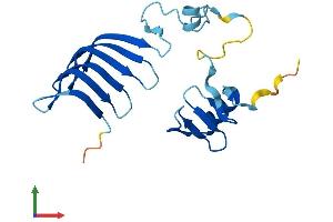 Protein Structure (PS) image for MORN Repeat Containing 5 (MORN5) (AA 1-170) protein (His tag) (ABIN7561222)