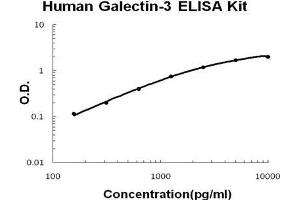 Human Galectin-3/LGALS3 PicoKine ELISA Kit standard curve (Galectin 3 ELISA Kit)