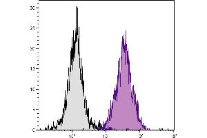C3H/He mouse splenocytes were stained with Mouse Anti-Mouse H-2Dk-PE. (H-2Dk antibody  (PE))