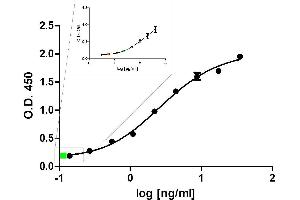 ELISA image for anti-Interleukin 2 (IL2) antibody (PE) (ABIN7490113) (IL-2 antibody  (PE))