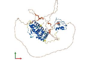 AlphaFold protein structure predicition of Human Recombinant NR4A1 Protein, UniprotID P22736 (NR4A1 Protein (AA 1-598) (His tag))