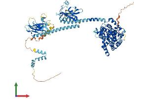 AlphaFold protein structure predicition of Mouse Recombinant Pde10a Protein, UniprotID Q8CA95 (PDE10A Protein (AA 1-790) (His tag))