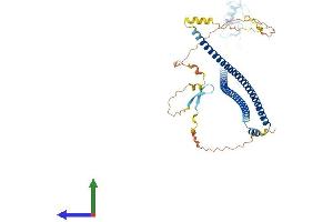 Protein Structure (PS) image for TRAF Interacting Protein (TRAIP) (AA 1-470) protein (His tag) (ABIN7559958)