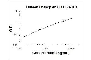 Typical Standard Curve