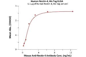 Immobilized Human Nectin-4, His Tag (ABIN6386454,ABIN6388277) at 1 μg/mL (100 μL/well) can bind Mouse An-4 Antibody with a linear range of 0. (PVRL4 Protein (AA 32-349) (His tag))