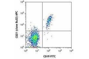 Flow Cytometry (FACS) image for anti-Complement Component (3d/Epstein Barr Virus) Receptor 2 (CR2) antibody (APC) (ABIN2657034) (CD21 antibody  (APC))