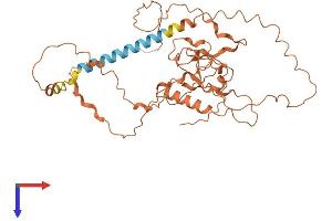 AlphaFold protein structure predicition of Human Recombinant FAM157C Protein, UniprotID P0CG43 (FAM157C Protein (AA 1-387) (His tag))