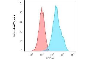 Flow Cytometric Analysis of Raji cells using CD20 Mouse Recombinant Monoclonal Antibody (rIGEL/773) followed by Goat anti-Mouse IgG-CF488 (Blue); Isotype Control (Red). (Recombinant CD20 antibody)