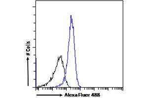 (ABIN190769) Flow cytometric analysis of paraformaldehyde fixed HepG2 cells (blue line), permeabilized with 0. (DPP4 antibody  (Internal Region))