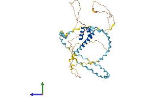 AlphaFold protein structure predicition of Human Recombinant ESX1 Protein, UniprotID Q8N693 (ESX Homeobox 1 Protein (ESX1) (AA 1-406) (His tag))