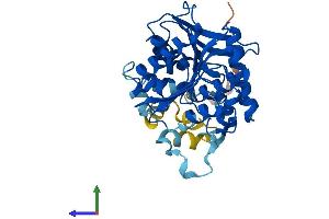 Protein Structure (PS) image for Abhydrolase Domain Containing 4 (ABHD4) (AA 1-342) protein (His tag) (ABIN7551765)