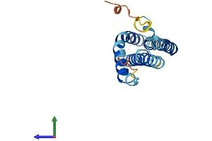 Protein Structure (PS) image for Mitochondrial Fission Process 1 (Mtfp1) (AA 1-166) protein (His tag) (ABIN7560633)