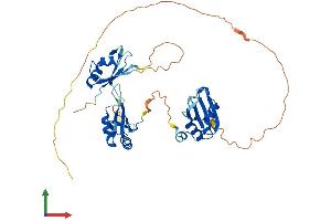 Protein Structure (PS) image for TIA1 Cytotoxic Granule-Associated RNA Binding Protein-Like 1 (TIAL1) (AA 1-392) protein (His tag) (ABIN7556692)