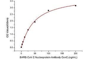 Immobilized Recombinant SARS-COV-2 Nucleocapsid (RP01264) at 1 μg/mL (100μL/well) can bind SARS-CoV-2 Nucleoprotein Antibody (ABIN7269053) with a linear range of 3. (Nucleoprotein antibody)