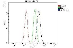 Flow Cytometry analysis of A549 cells using anti-TSC2 antibody (ABIN7600203). (Tuberin antibody  (AA 1611-1807))
