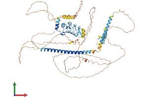 AlphaFold protein structure predicition of Human Recombinant LRRC36 Protein, UniprotID Q1X8D7 (LRRC36 Protein (AA 1-754) (His tag))