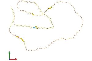 AlphaFold protein structure predicition of Human Recombinant KRTAP27-1 Protein, UniprotID Q3LI81 (KRTAP27-1 Protein (AA 1-207) (His tag))